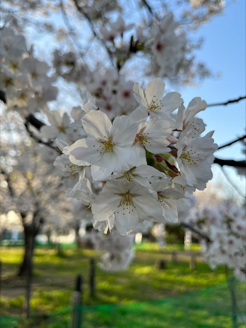 7C8E6570-361A-4DE5-9160-B34090FB278F