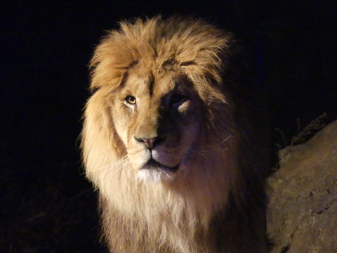 P1030275