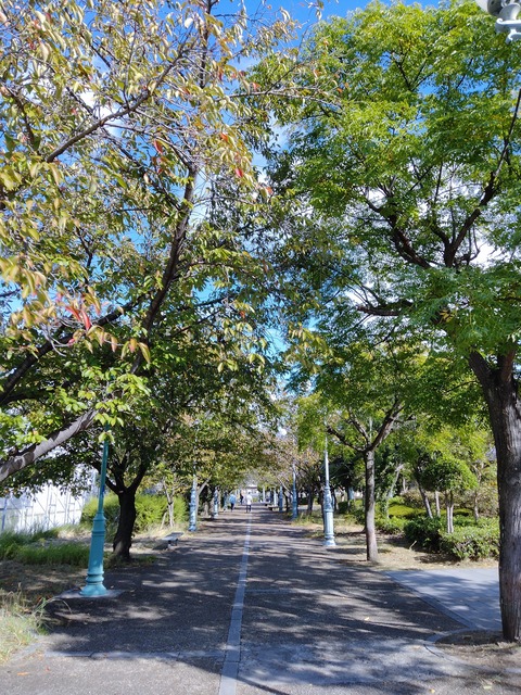 IMG20231021092308