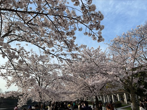 5C63F700-03F0-4A6F-A90B-B8280643B7B9