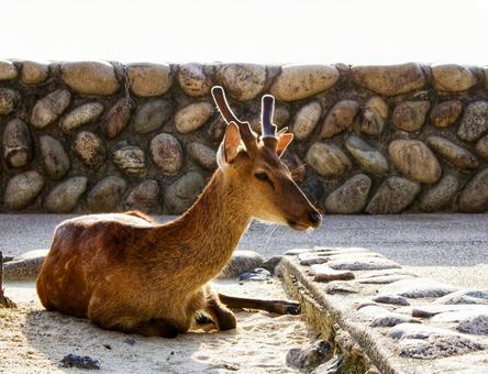 a950db1d9dd95cec0901d50207cbb9ed_t