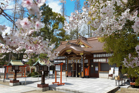 【2026】阿部野神社 夏祭が7月21日・22日に開催！神輿や屋台で賑わう