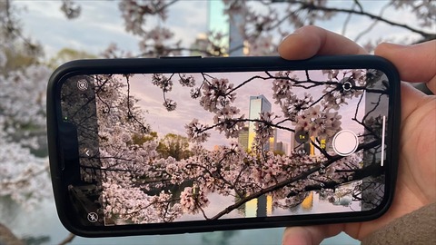 31B47E55-E36A-485A-9B6D-B813FFBE1C5C