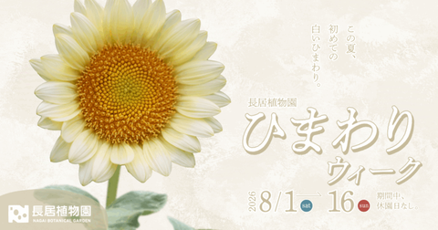 4e961225439d74439efe0974aaaf6416-800x420