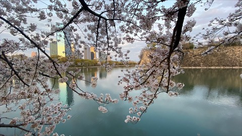 882058A6-A742-4034-A52C-45731858E2AB