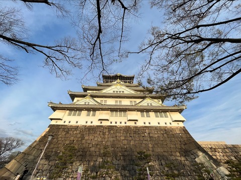 2002A4CE-E233-4417-8499-CB0C8739F685