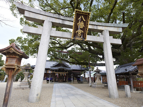 【中百舌鳥】ふとん太鼓が百舌鳥八幡宮へ！9/26・27「月見祭」の見どころと時間について