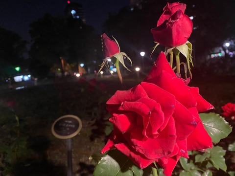 09E10B7A-61CB-44FA-AAEC-36F6F8D4E73A