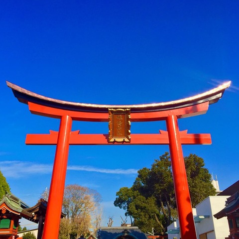 【2026】姫嶋神社 夏祭が7月25日・26日に開催！3基のだんじり巡行や宮入りが見どころ