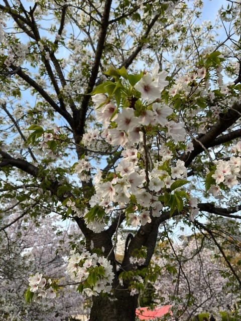 DF0EEB6B-60E3-4AA2-85E1-ADA9E56706EA