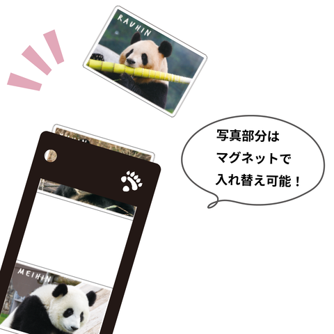 アドベンチャーワールド⑤
