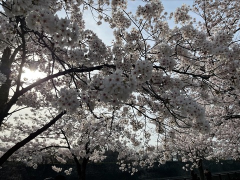 EF9C4AB4-35BA-4FAF-A09C-65F94CC67942