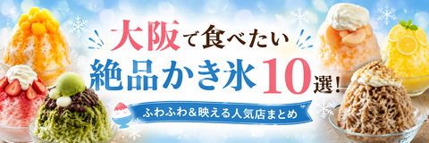かき氷のまとめ