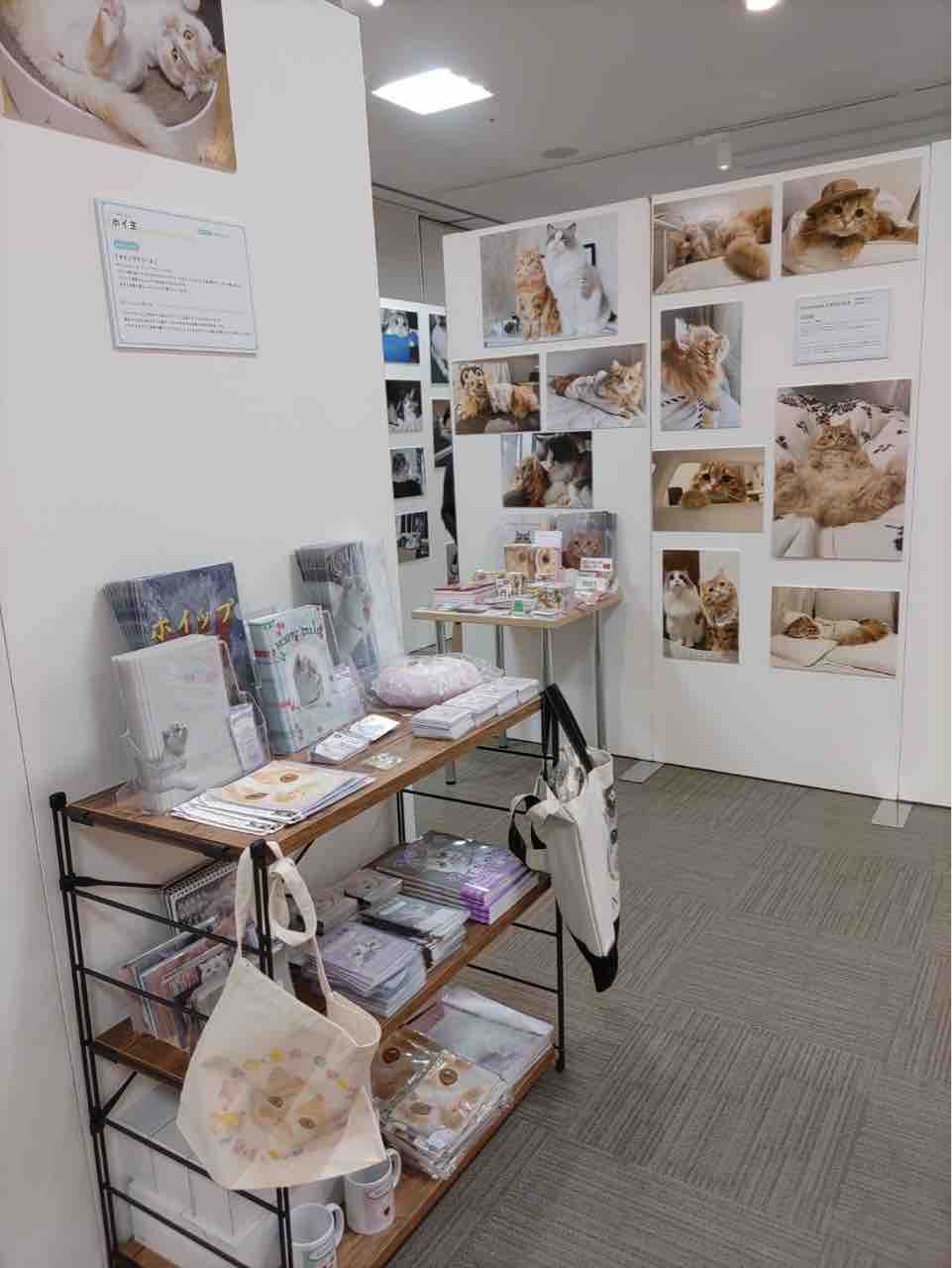 超癒し】ルクア大阪で開催されている『ねこ休み展』で日々の疲れを癒し