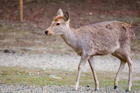 4015376ad041d482b8c5c96aa358b283_t