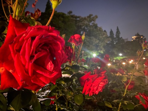 9A8EA7F8-BB1E-4853-B760-CA8635E93DC6