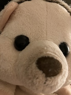 940BDAEA-9A70-4AC4-BB93-1A22B9A5FDEA