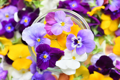 863B4FFD-01A9-43D7-B650-6B4A5E8C08E4