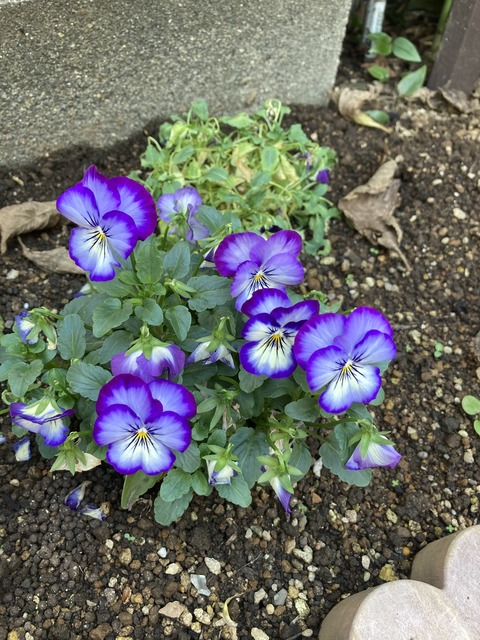 57CEBA58-1747-4426-BE7E-37FE1CA275AF