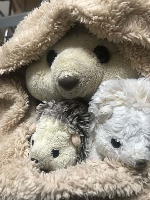 084AB5AF-E37F-4FEC-A34B-8619D19D9926