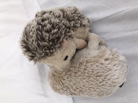 86C726F7-EB6D-4864-8DB7-1C552FEC4A26