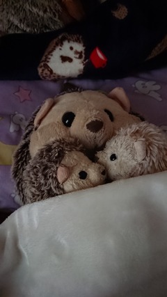 74C10D83-E0F0-4CDB-9D4E-099BB2C23924