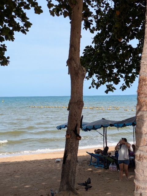 PXL_20250802_025032438