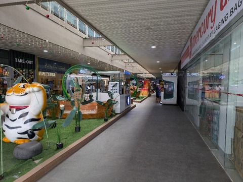 PXL_20241107_065220023