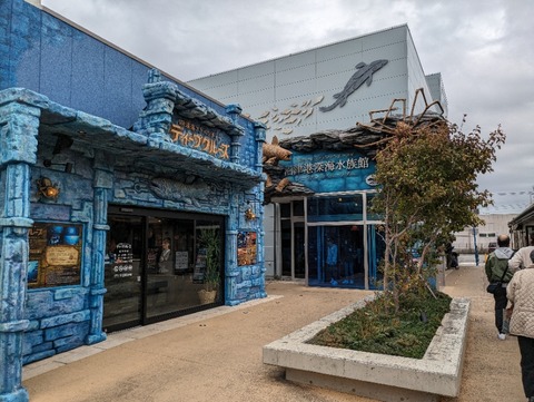 PXL_20240202_032704691