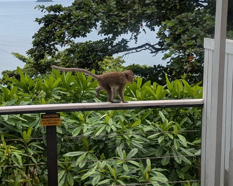 PXL_20250703_062331877~2