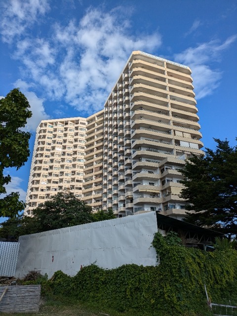 PXL_20240808_093314115