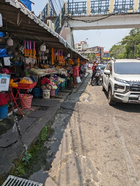 PXL_20240330_051655900