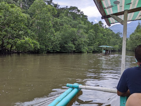 PXL_20241029_021602502.MP