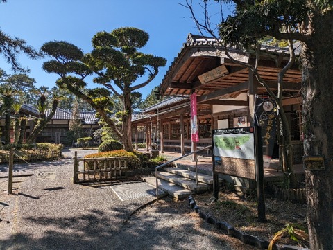 PXL_20240210_034048681