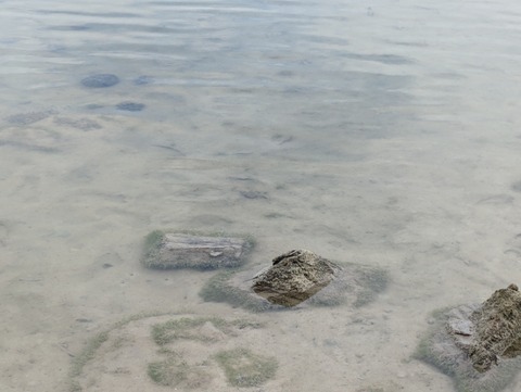 PXL_20241026_044147594