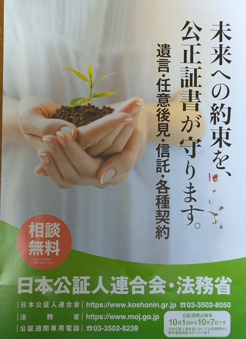 PXL_20251125_100806781