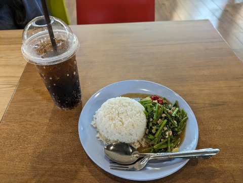 PXL_20240424_061732112