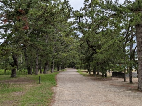 PXL_20260608_022442725
