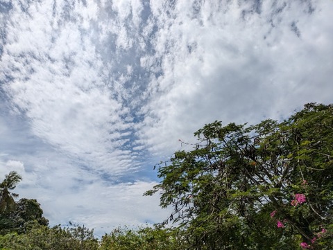 PXL_20241027_033306863