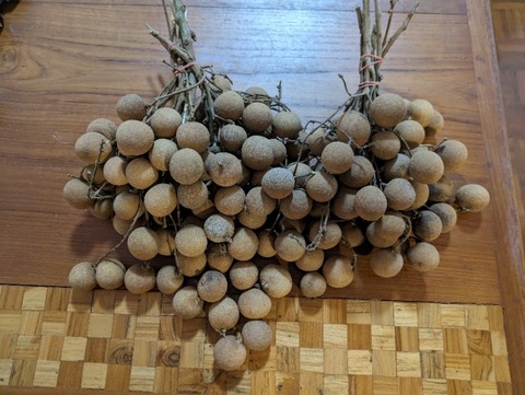 PXL_20240418_063105215