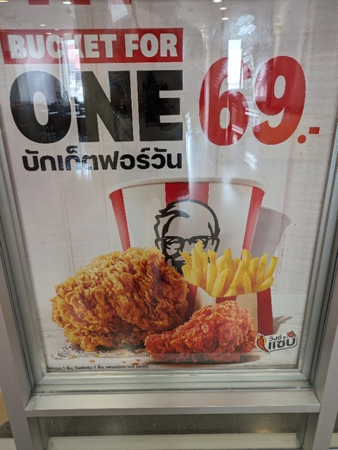 PXL_20240403_045111451