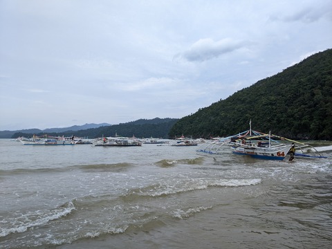 PXL_20241029_050511592