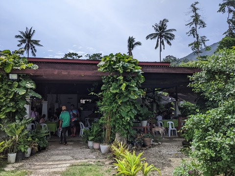 PXL_20241029_043655516