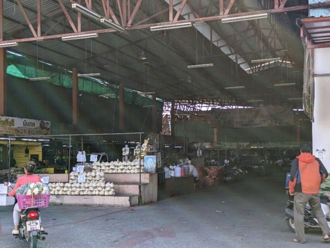 PXL_20240119_070846428