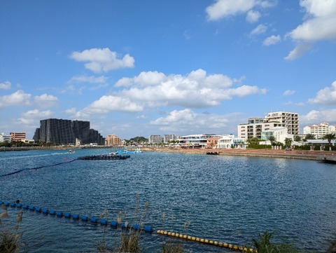 PXL_20241204_054036825