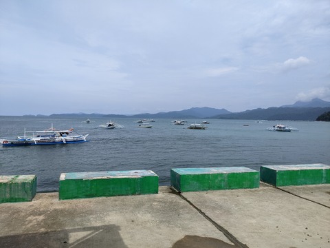 PXL_20241029_044257670