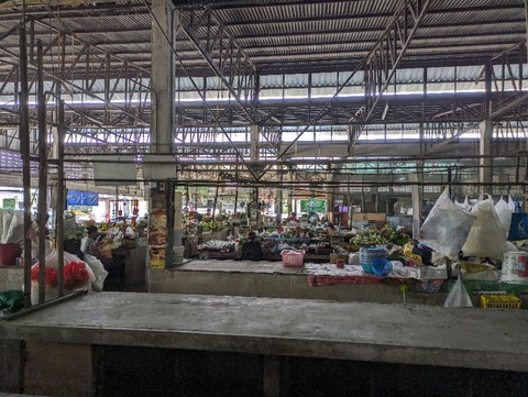 PXL_20240418_061600899