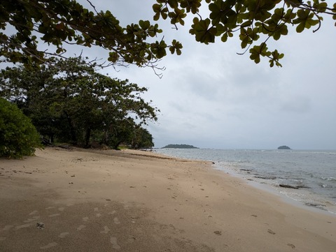 PXL_20250703_042558507