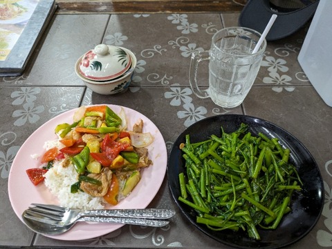 PXL_20240414_125546133