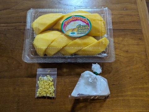 PXL_20240405_132824615